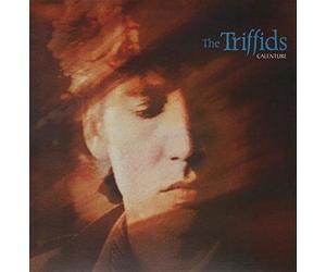 The Triffids (80s) - Calenture