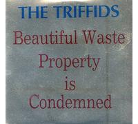 The Triffids - Beautiful Waste