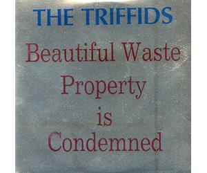 The Triffids - Beautiful Waste