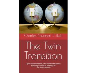 The Twin Transition: Digital Transformation for Sustainable Business: Exploring Contextual Pathways to the Twin Transition