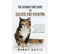 The Ultimate Care Guide For Calico Cat Owners