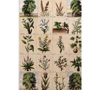The Ultimate Guide To Using Herbs & Botanicals In Spells & Magic