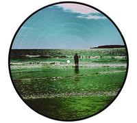 The Ultra Vivid Lament [Vinyl] [Import]