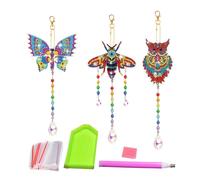 The University Of Colorado Studies