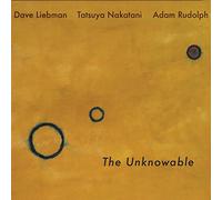 The Unknowable