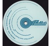 The Unknown Wanderer - Don't Start Just Finish It / Living In Concrete Houses