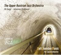 The Upper Austrian Jazz Orchestra - Saltchambermusic for Jazzorchestra