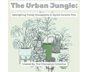 The Urban Jungle:: Spotlighting Trendy Houseplants In Stylish Ceramic Pots