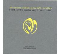The Uri Caine E Gustav Mahler In Toblach: i went out this morning over the (CD)