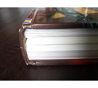 The Usborne Internet-Linked Encyclopedia Of World History