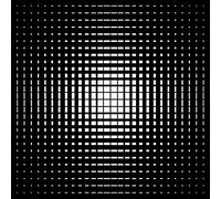 The Vacant Lots Closure (Vinyl) 12" Album