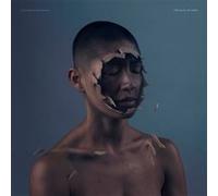 The Valley Of Vision CD