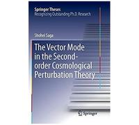 The Vector Mode In The Second-Order Cosmological Perturbation Theory