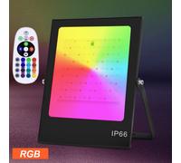 The Venerable Mother Anne-Marie Rivier [Microform]: Foundress Of The Congregation Of The Presentation Of The Blessed Virgin Mary, 1768-1838