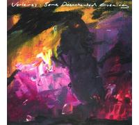 The Verlaines, - Some Disenchanted Evening - Vinyl LP - RSD 2025