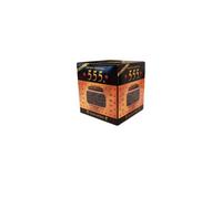 Thé vert de Chine Gunpowder |555 (250 g)