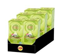 Thé Vert Lipton Exclusive Sélection Sencha - 6 boites - 150 sachets pyramide