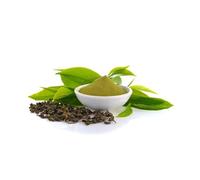 Thé vert POUDRE Thea sinensis