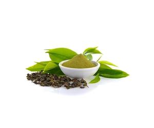 Thé vert POUDRE Thea sinensis