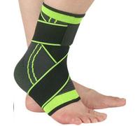 The Very Rev. Father Paul Of Moll: A Flemish Benedictine And Wonder-Worker Of The Nineteenth Century, 1824-1896