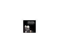 Isabelle van Keulen – Strauss, Rota, Respighi : Sonates pour violon (années 1900) – CD – Challenge