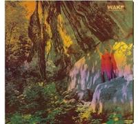 The Wake - Thought Form Descent [Vinyl]