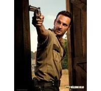 The Walking Dead - 40x50 cm - AFFICHE / POSTER G