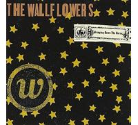 The Wallflowers – Bringing Down the Horse
