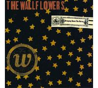 The Wallflowers Bringing Down the Horse (Vinyl) 12" Album