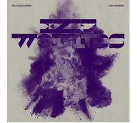 The Wallflowers Exit Wounds (Vinyl) 12" Album