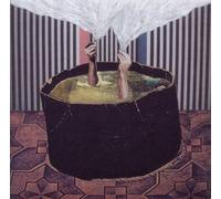 The Wants by Phantom Band