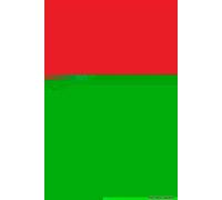 The War Against Al-Qaeda