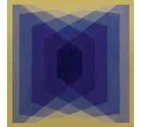 The Warlocks – Exp (Experimental Burnout Music) – Vinyle 12" coloré doré – Import