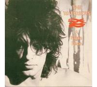 THE WATERBOYS "A PAGAN PLACE" CD NEW