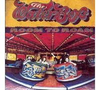 Waterboys – Room to Roam – Import – Chrysalis