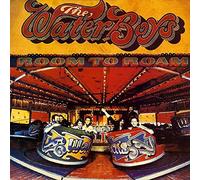 The WaterBoys - Room To Roam - Ensign - 1C 064-3 21768 1