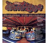 The Waterboys Room to Roam (Vinyl) 12" Album