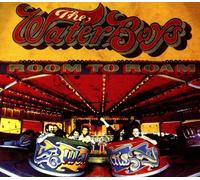 The Waterboys – Room to Roam – Album vinyle 12" – Half Speed Master – 180 g
