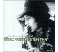 The Waterboys - The Live Adventures of The Waterboys