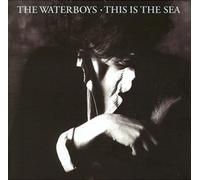The Waterboys - This Is The Sea: Collectors Edition
