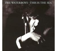THE WATERBOYS - THIS IS THE SEA (COLLECTOR'S EDITION) 2 CD NEUF