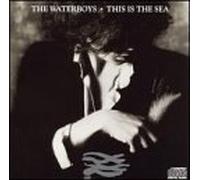 The Waterboys - This is the Sea (UK Import)
