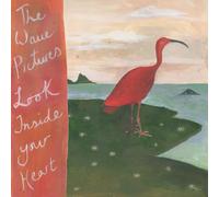 THE WAVE PICTURES - LOOK INSIDE YOUR HEART VINYL LP NEUF