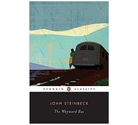 The Wayward Bus
