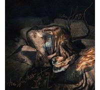 The Weather Station - Humanhood [Compact Discs] Canada - Import