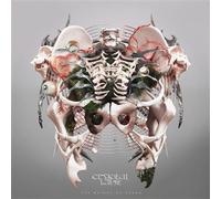 The Weight Of Sound Vinyle Gris Vinyle