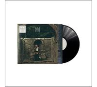 Dermot Kennedy – The Weight of the Woods – Vinyle 12"