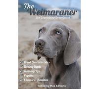 The Weimaraner: The Legendary Grey Ghost