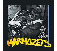 Marmozets - The Weird and Wonderful Marmozetes