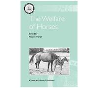 The Welfare Of Horses